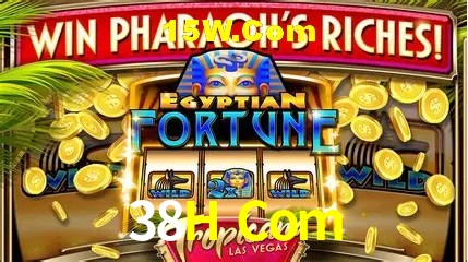 Experiência VIP 38H Com